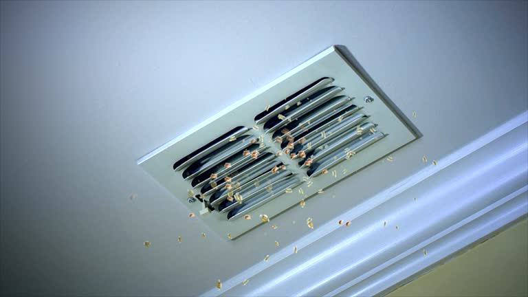 Best Air Duct Cleaning Cost  in , MD